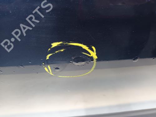 Left front door JAGUAR XF I (X250) 2.7 D | BP29567108C2 