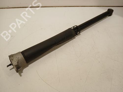 Used Right rear shock absorber FORD FIESTA VII (HJ, HF) 1.1 Ti-VCT (86 hp) 24841525