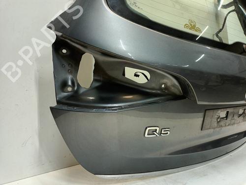 Tailgate AUDI Q5 (8RB) 2.0 TFSI quattro | BP32252740C6