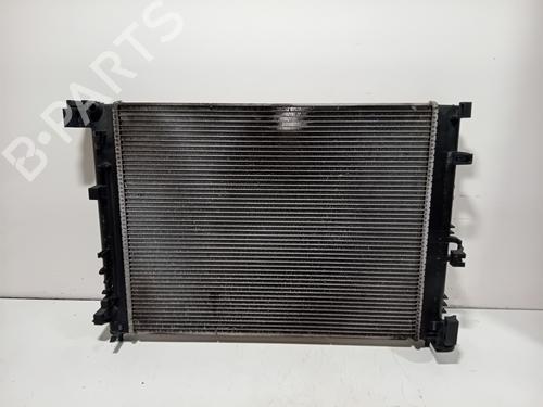 Used Water radiator Water radiator NISSAN JUKE (F16_) DIG-T 117 (117 hp) 40128119 40128119