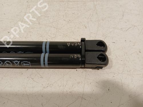 Tailgate lift support VW GOLF VIII (CD1, DA1) 2.0 TSI R 4motion | BP29325503C138 