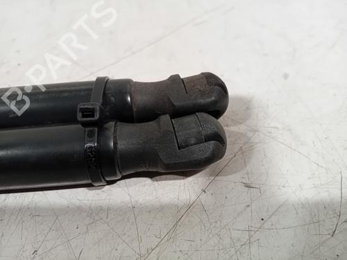 Tailgate lift support FORD FOCUS III 1.0 EcoBoost | BP20312400C138 