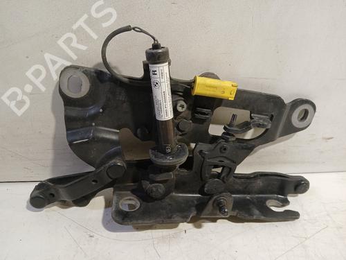 Used Hinge/Door check strap BMW 5 Touring (F11) 525 d xDrive (218 hp) 31297689