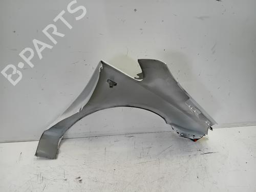 Left front fenders OPEL CORSA D (S07) 1.2 LPG (L08, L68) | BP25749646C41 