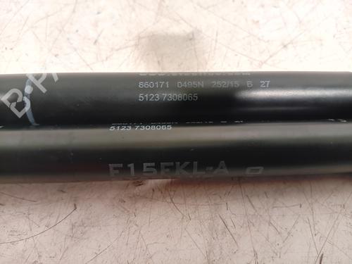 Hood lift support BMW X5 (F15, F85) xDrive 40e | BP21197614C139 