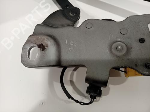 Hinge/Door check strap BMW 5 (F10) 530 d | BP29541096C146