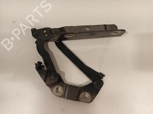 Used Hinge/Door check strap LAND ROVER RANGE ROVER EVOQUE (L538) 2.2 D 4x4 (150 hp) 16773452
