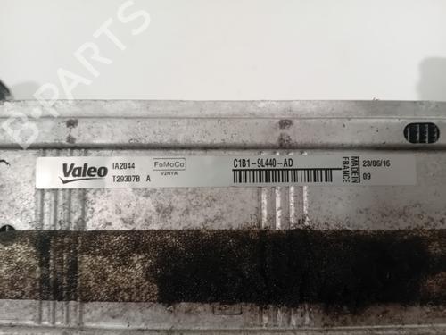 Intercooler FORD FIESTA VI (CB1, CCN) 1.0 EcoBoost | BP30617866M30 - Image 4