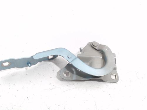 Dørhængsel/Dørbegrænser RENAULT ZOE (BFM_) ZOE (88 hp) 13207670