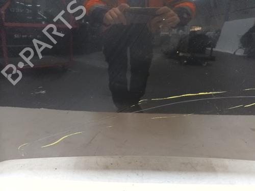 Hood FIAT DOBLO Cargo (263_) 1.3 D Multijet | BP21079825C1 