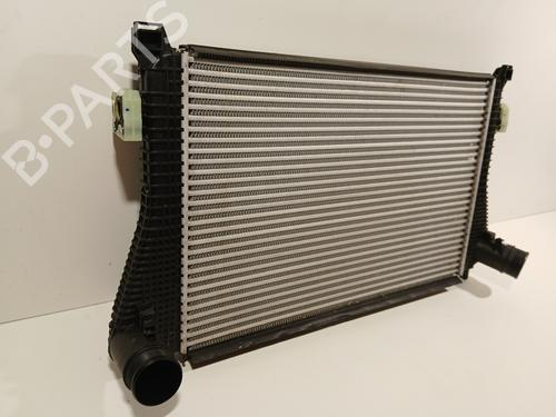 Intercooler VW GOLF VIII (CD1, DA1) 2.0 TSI R 4motion | BP29447049M30 
