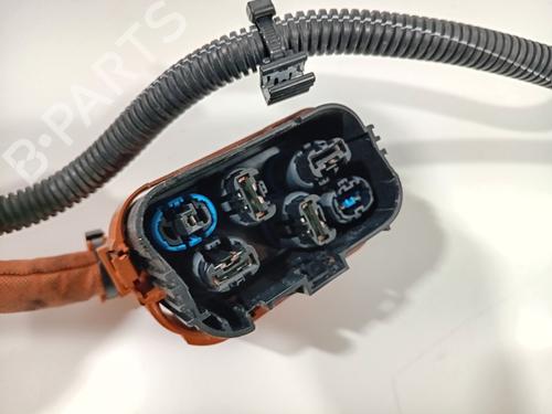 Cable RENAULT ZOE (BFM_) ZOE | BP29427889E12 