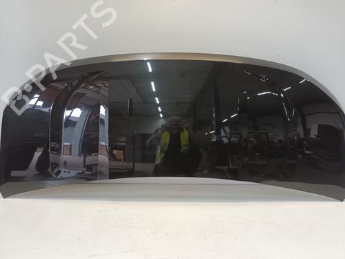 Used Hood Hood RENAULT MASTER IV Van (F8__) BLUE DCI 150 (F8M3) (150 hp) 34058665 34058665