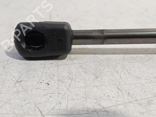 Hood lift support RENAULT MEGANE III Hatchback (BZ0/1_, B3_) 1.5 dCi (BZ09, BZ0D, BZ1W, BZ29, BZ14) | BP19274389C139 