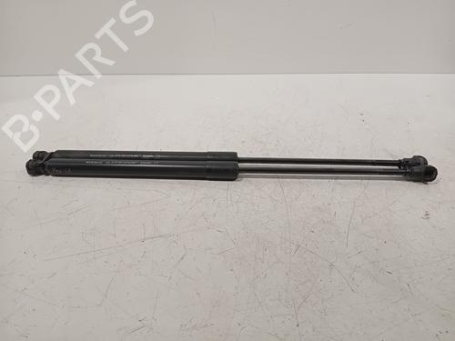 Tailgate lift support DACIA SANDERO II TCe 90 (B8M1, B8MA, B8AC) | BP22387788C138 