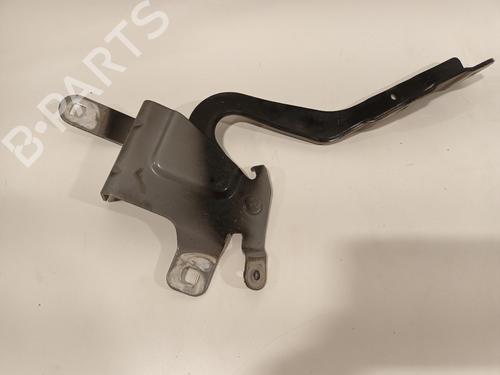 Hinge/Door check strap RENAULT CLIO IV (BH_) 0.9 TCe 90 (BHNF, BHMA, BHMH, BHJK, BHJR) | BP16444414C146 