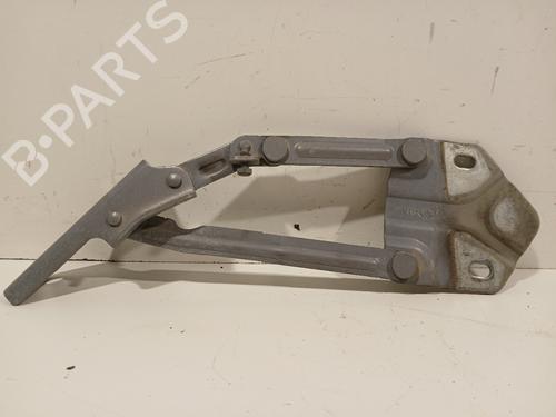 hingedoor-check-strap-vw-touran-1t3-2010-2011-2012-2013-2014-2015-2016-29519095 main image