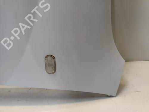 Left front fenders RENAULT KANGOO Express (FW0/1_) 1.5 dCi 75 (FW07, FW10, FW04) | BP29528300C41 