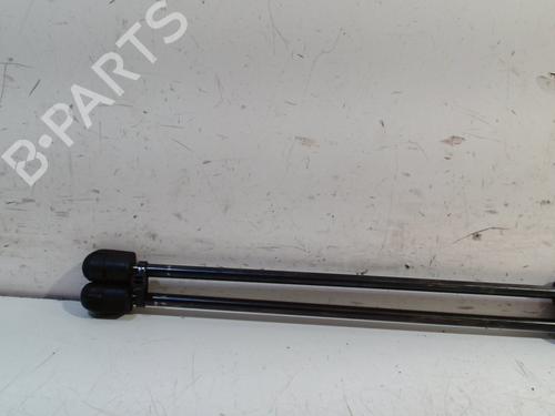 Tailgate lift support MERCEDES-BENZ M-CLASS (W163) ML 430 (163.172) | BP13207981C138 
