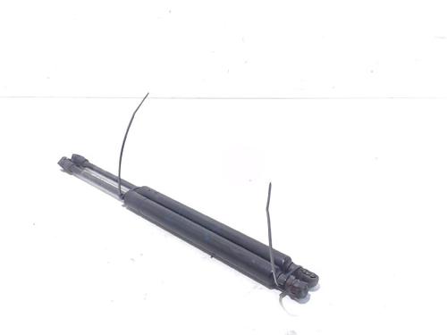 Tailgate lift support BMW 3 (E46) 320 d | BP13197625C138 