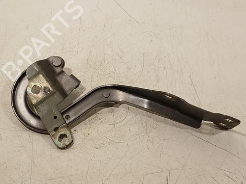 Hinge/Door check strap RENAULT ESPACE V (JR_) 1.6 dCi 160 | BP27316455C146 