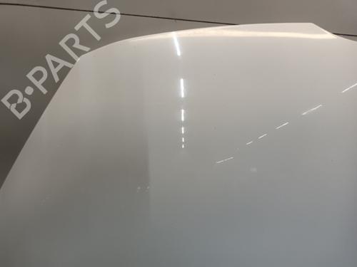Hood FORD FIESTA VI (CB1, CCN) 1.6 Ti | BP29750928C1 