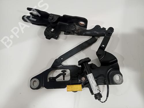 Used Hinge/Door check strap BMW 5 (F10) 530 d (245 hp) 29541096
