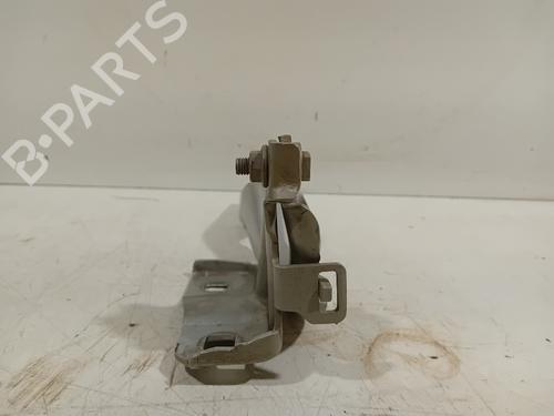 Hinge/Door check strap FIAT 500X (334_) 1.4 (334AXC1B, 334AXC11) | BP22687625C146 