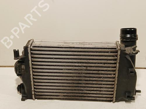 Intercooler RENAULT GRAND SCÉNIC IV (R9_) 1.2 TCe 130 | BP25050693M30 
