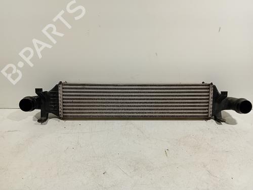 Used Intercooler MERCEDES-BENZ GLA-CLASS (X156) GLA 200 (156.943) (156 hp) 18053092