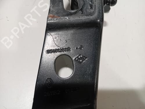 Hinge/Door check strap RENAULT AUSTRAL TCe 160 (HGMJ) | BP36641500C146 - Image 4