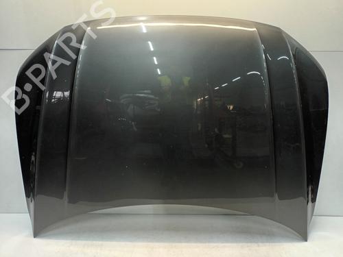 Used Hood Hood VW TIGUAN (AD1, AX1) 2.0 TDI 4motion (150 hp) 33698637 33698637