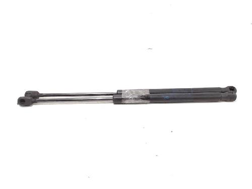 Used Tailgate lift support RENAULT MEGANE II (BM0/1_, CM0/1_) 1.5 dCi (BM1F, CM1F) (86 hp) 13199192