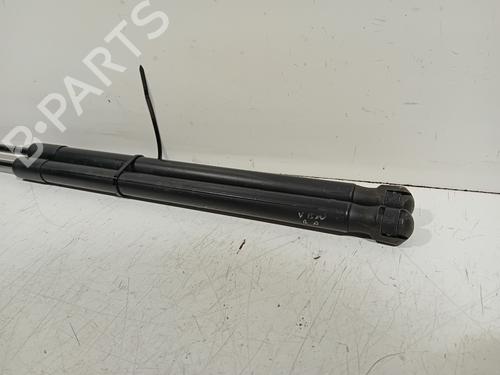 Tailgate lift support FORD FIESTA VI (CB1, CCN) 1.25 | BP18266558C138 