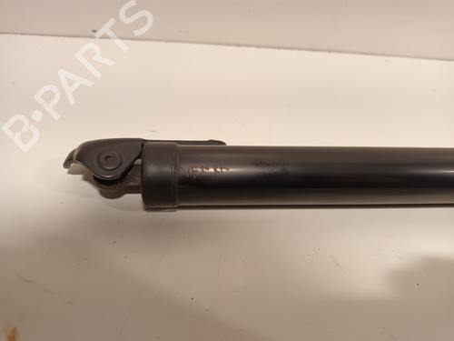 Tailgate lift support LEXUS NX (_Z1_) 300h AWD (AYZ15, AYZ15_, AYZ15R) | BP31761791C138 