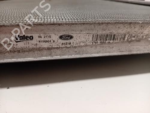 Water radiator FORD FIESTA VI (CB1, CCN) 1.0 EcoBoost | BP29941087M31 