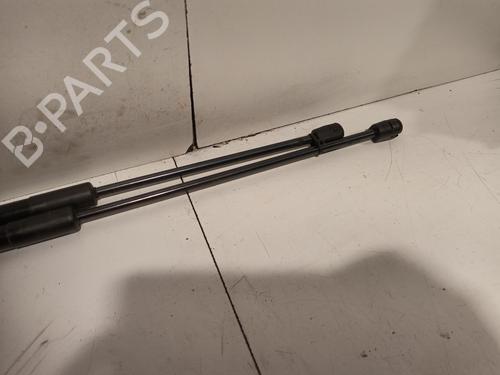 Hood lift support MERCEDES-BENZ M-CLASS (W166) ML 350 BlueTEC 4-matic (166.024, 166.023) | BP17093283C139 