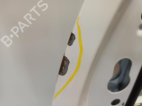 Left front door RENAULT KANGOO Express (FW0/1_) 1.5 dCi 75 (FW07, FW10, FW04) | BP30612980C2 