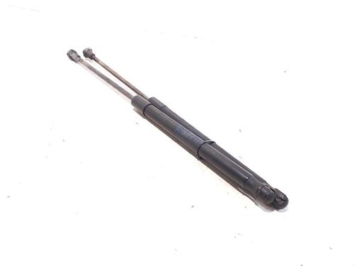 Tailgate lift support BMW 1 (E87) 118 d | BP13196958C138 