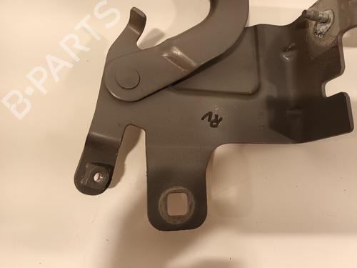 Hinge/Door check strap RENAULT CLIO IV (BH_) 0.9 TCe 90 (BHNF, BHMA, BHMH, BHJK, BHJR) | BP16444414C146 
