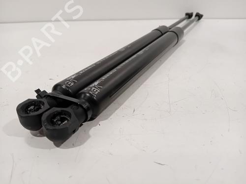 Tailgate lift support RENAULT ZOE (BFM_) ZOE | BP18606100C138