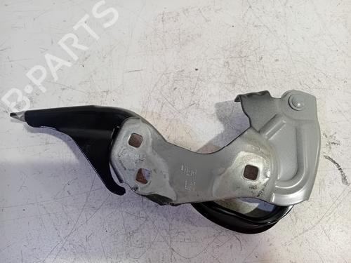 hingedoor-check-strap-fiat-500-c-312_-2009-24980470 main image