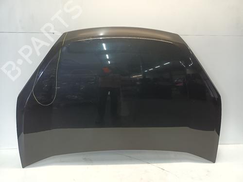 Used Hood FIAT DOBLO Cargo (263_) 1.3 D Multijet (263WXU1A, 263ZXU1A, 263WYB1A, 263ZYB1A) (95 hp) 17571969