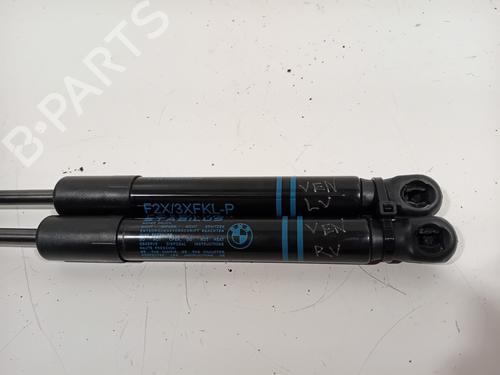 Hood lift support BMW 3 (F30, F80) 330 e | BP29941197C139