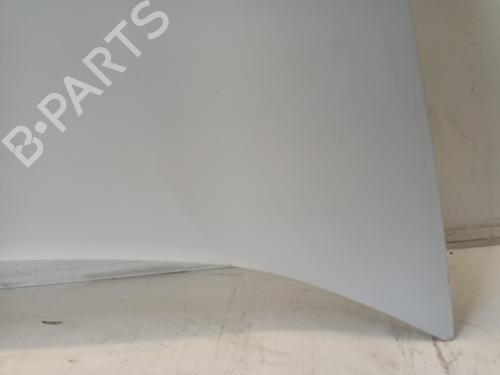Hood RENAULT KANGOO Express (FW0/1_) 1.5 dCi 75 (FW07, FW10, FW04) | BP24262517C1 