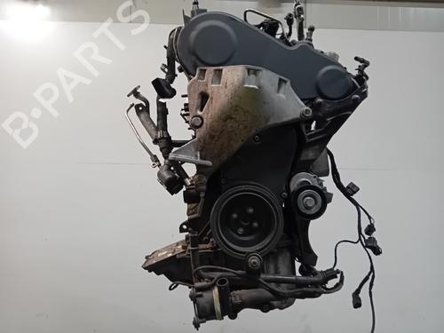 Engine VW POLO V (6R1, 6C1) 1.2 TDI | BP29325561M1 