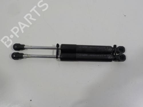 Used Hood lift support RENAULT ZOE (BFM_) ZOE (88 hp) 16964591