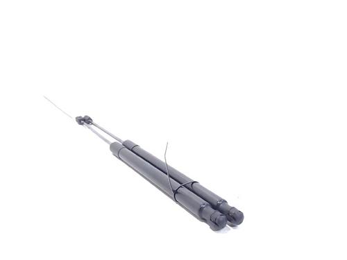 Tailgate lift support BMW X1 (E84) xDrive 20 d | BP13197539C138 