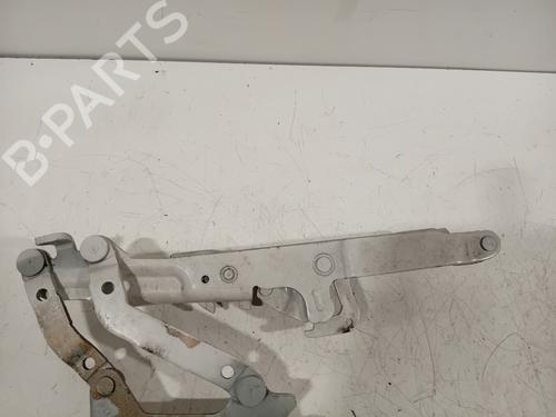 Hinge/Door check strap BMW 1 (F20) 116 i | BP18266536C146 