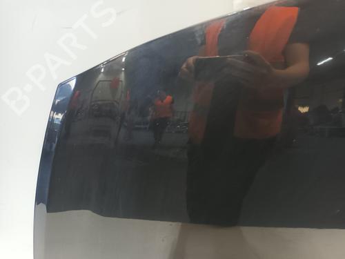 Hood RENAULT CLIO III (BR0/1, CR0/1) 1.2 16V (BR0P, CR0P) | BP18645542C1 